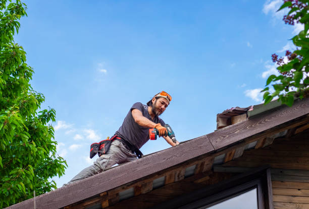 Best Sheet Metal Roofing  in USA